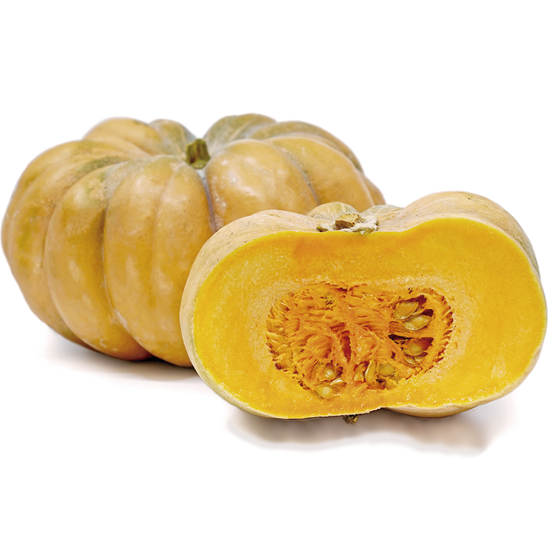 800-calabaza